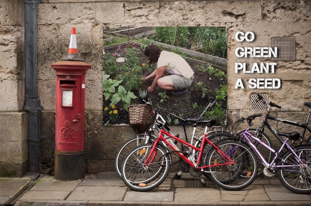 Fahrräder in einer Reihe neben einem Briefkasten mit einem Sicherheitstonne darauf, ein Plakat an einer Wand im Hintergrund und ein Weg unten.