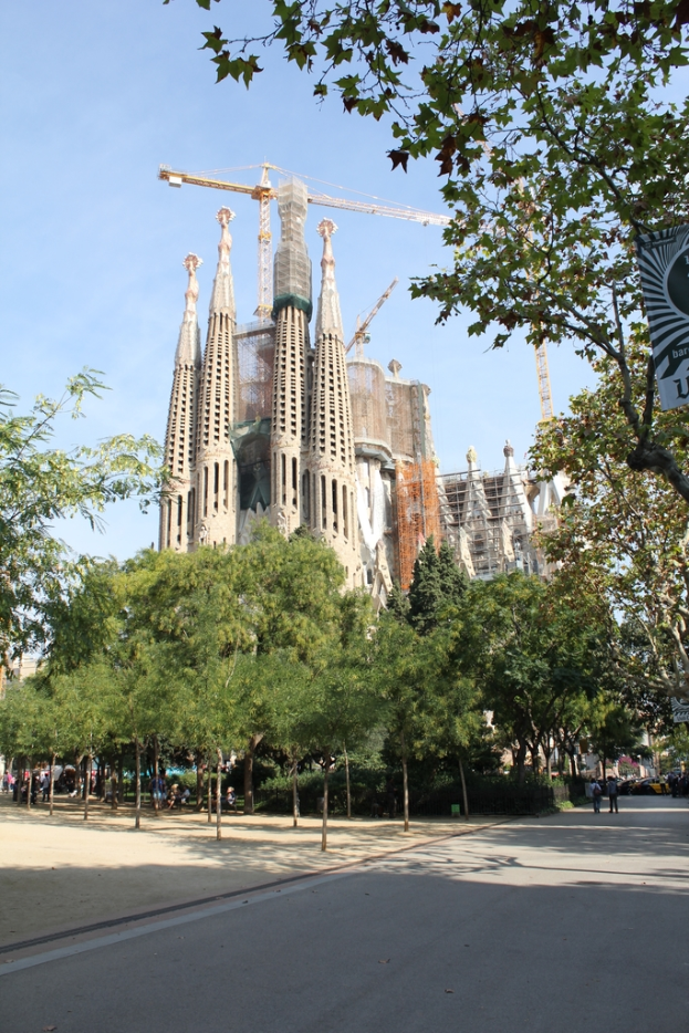 Eine große Baustelle mit einem hohen Kran und einem teilweise errichteten Gebäude, umgeben von vielen Bäumen.