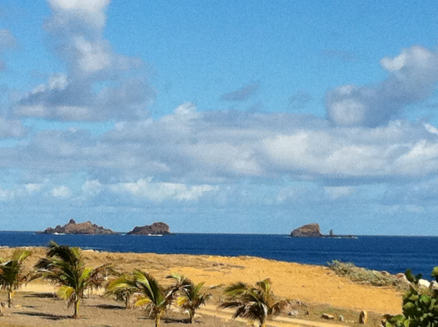 Eine Strandszene mit Palmen, einem Gewässer, saftig grünem Gras und Pflanzen unter einem blauen und weißen Himmel mit fernen Bergen im Hintergrund.