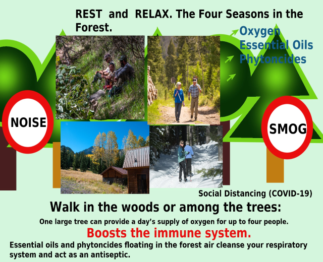 Plakat mit der Aufschrift "Ruhe und Entspannung die vier Jahreszeiten im Wald" mit Bildern von Menschen, die durch einen bewaldeten Bereich mit Bäumen und einem Haus gehen, um Entspannung in der Natur zu fördern.
