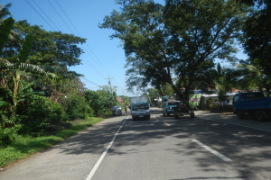 Eine Stra├če mit Autos und Lastwagen, die darauf fahren, gesäumt von B├Ąumen und Pflanzen auf beiden Seiten, mit Strommasten und Dr├Ąhten im Hintergrund unter einem klaren blauen Himmel.