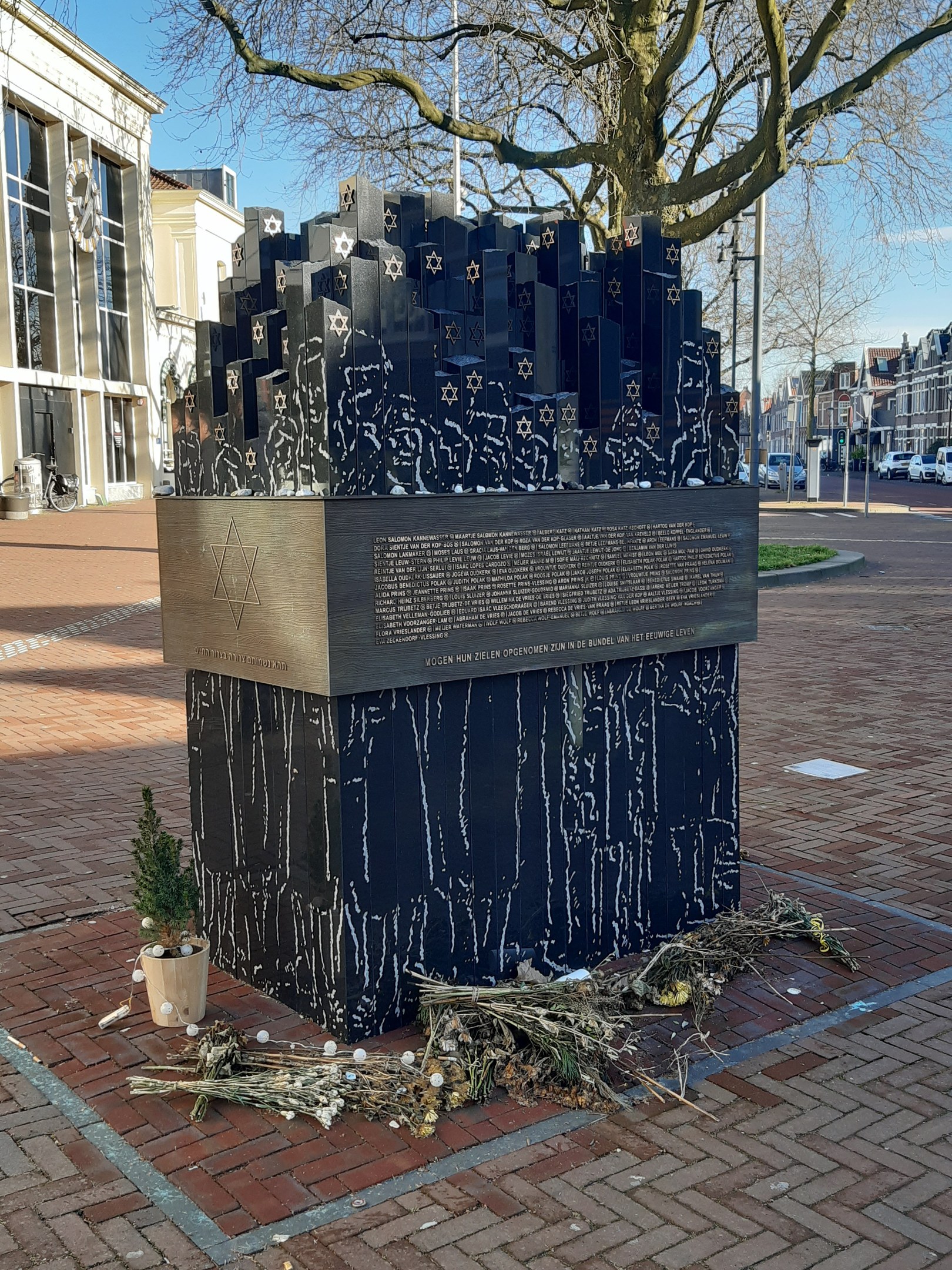 Denkmal in einem Stadtplatz, das an Holocaust-Opfer erinnert, mit einem Baum davor, einem Topf mit einer Pflanze auf dem Boden, verstreuten trockenen Blättern und im Hintergrund Gebäude, Fahrzeuge, Mäste und Bäume.