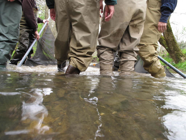 Wasser am Boden mit Menschen in der Mitte, eine Person im Hintergrund hält ein Rohr, und Bäume und Gras weiter hinten.
