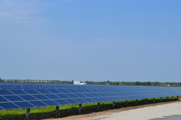 Großes Solarpanel-Feld auf einer Wiese mit Bäumen und einem Gebäude im Hintergrund unter einem klaren blauen Himmel.