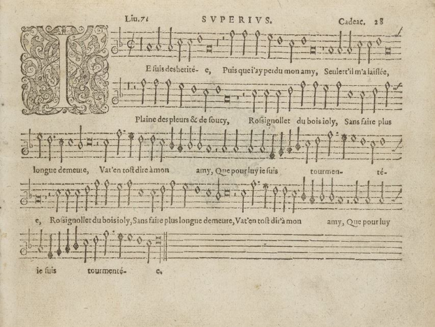 Ein aufgeschlagenes Buch, das eine musikalische Notation zeigt, mit sauber organisierten Text und detaillierten Designs, wahrscheinlich aus einer Musikhandschrift.