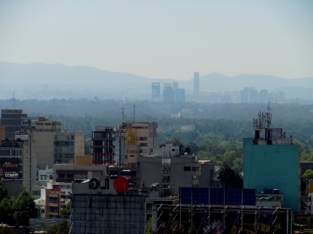 Mehrere Gebäude, Bäume und Schilder.
