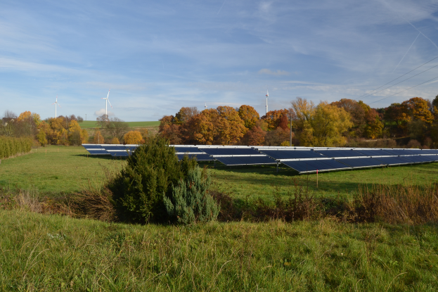 Ein Feld von Solarpanelen mit B├Ąumen im Hintergrund, umgeben von Gras und Pflanzen, unter einem bew├Âlktem Himmel mit Windr├Ądern in der Ferne.
