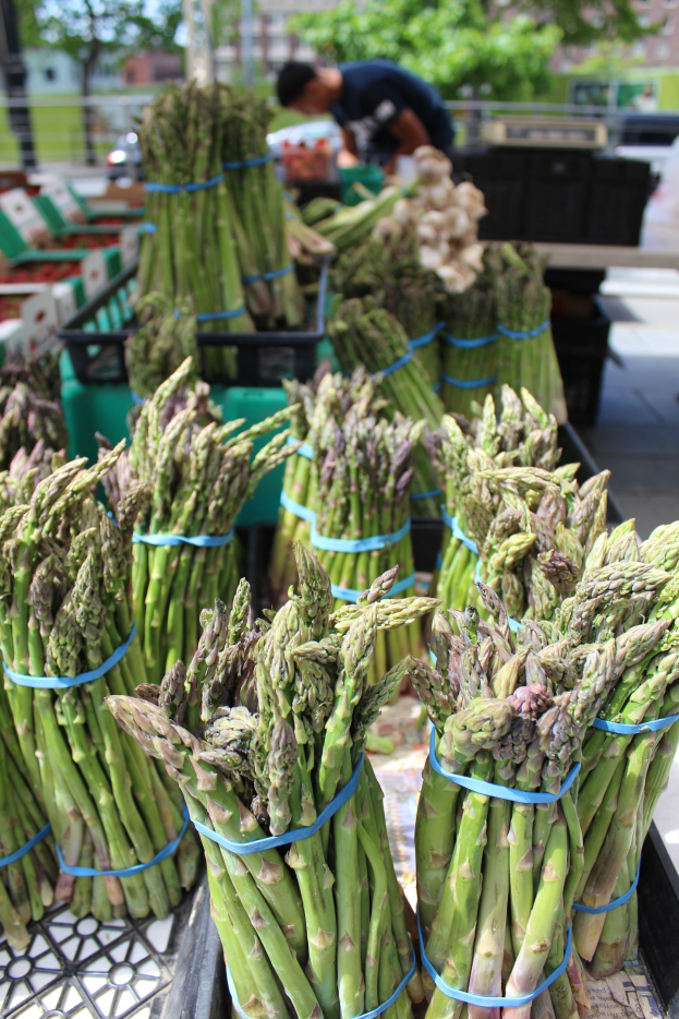 Frische Spargelbündel auf einem Bauernmarkt zum Verkauf ausgestellt, mit einer Person im Hintergrund vor Bäumen, Gebäuden und einem klaren blauen Himmel.