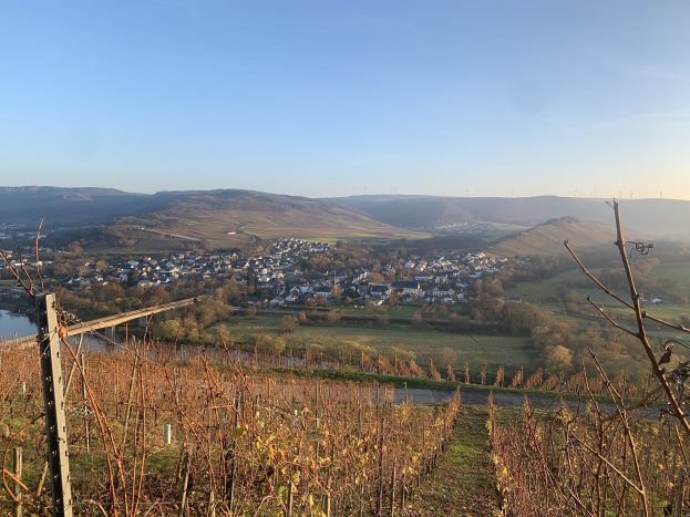 Eine malerische Aussicht auf das Rheintal von einem Hügel aus, mit grünen Blättern, Häusern und einer Brücke, die den Fluss überspannt, vor einem blauen Himmel und sanften Hügeln.
