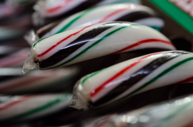 Verschiedene Pralinen ordentlich in einer Schachtel angeordnet und verpackt.