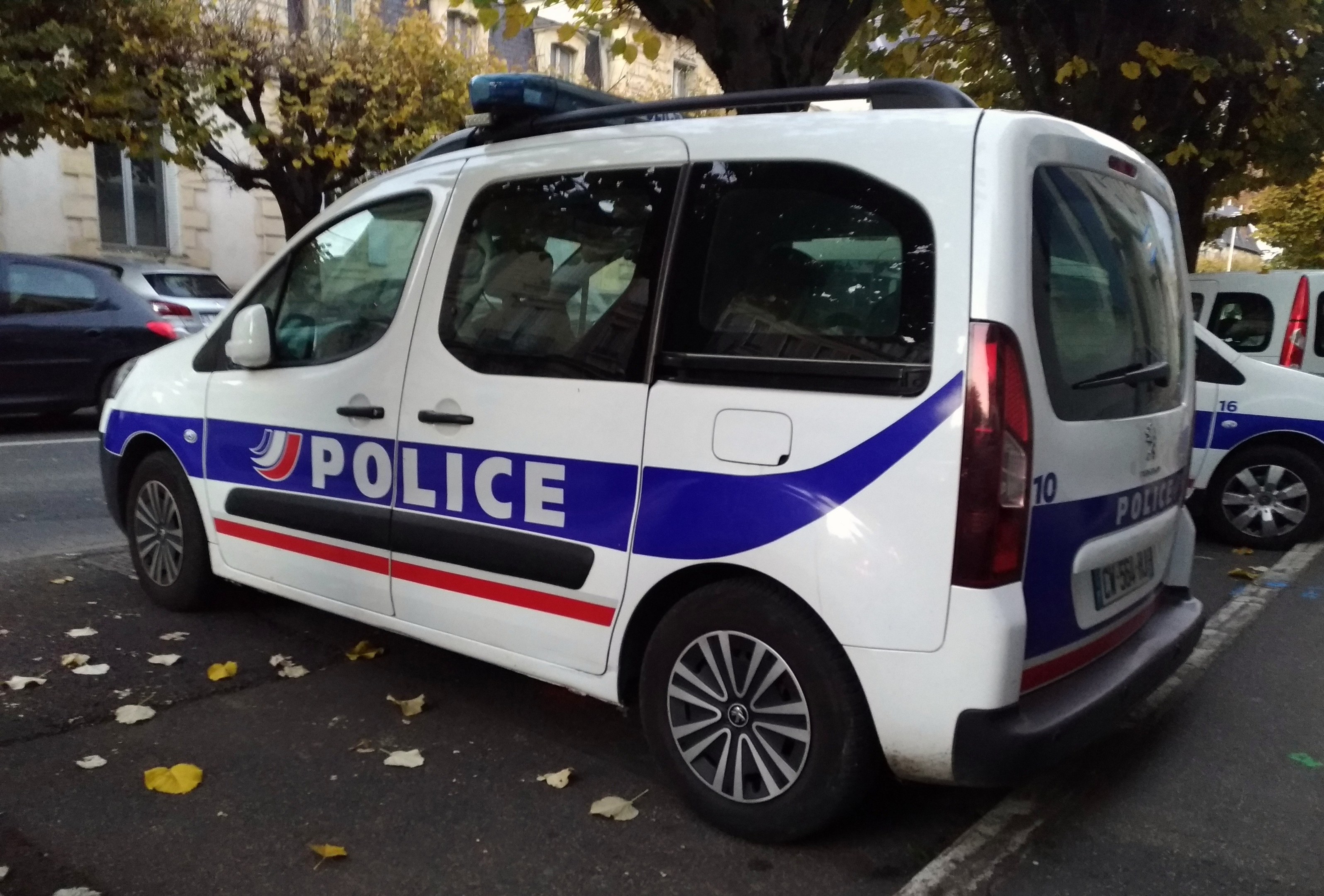 Polizeifahrzeug auf einer Stadtstraße neben Gebäuden mit Fenstern, Bäumen und verstreuten Blättern auf dem Boden geparkt.