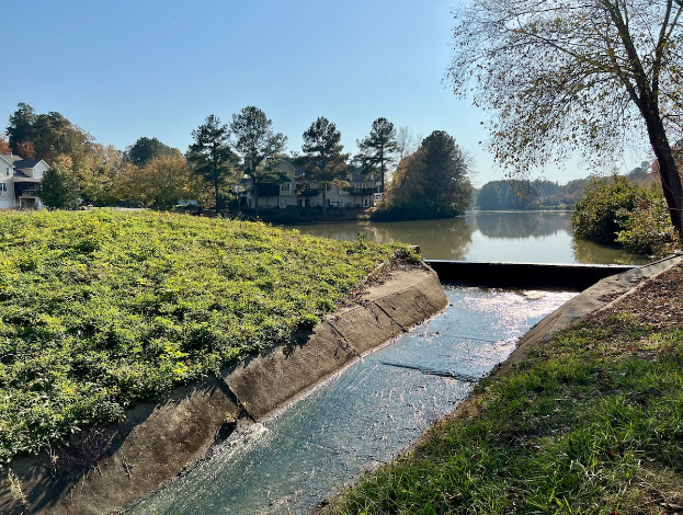 Kleiner Bach, der durch ein grünes Feld neben einem Gewässer fließt, mit Bäumen und Pflanzen an seinen Seiten und Gebäuden im Hintergrund unter einem klaren blauen Himmel.