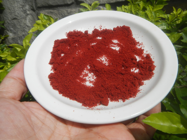 Eine Person hält eine weiße Schüssel mit rotem Chili-Pulver in der Hand, mit Pflanzen und einer Wand im Hintergrund.