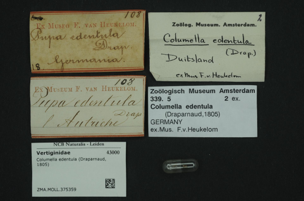 Eine Sammlung alter Visitenkarten mit textlichen Bezügen zu Columella edentula, einem niederländischen Medikament, neben einem kleinen Papier mit einem Barcode.